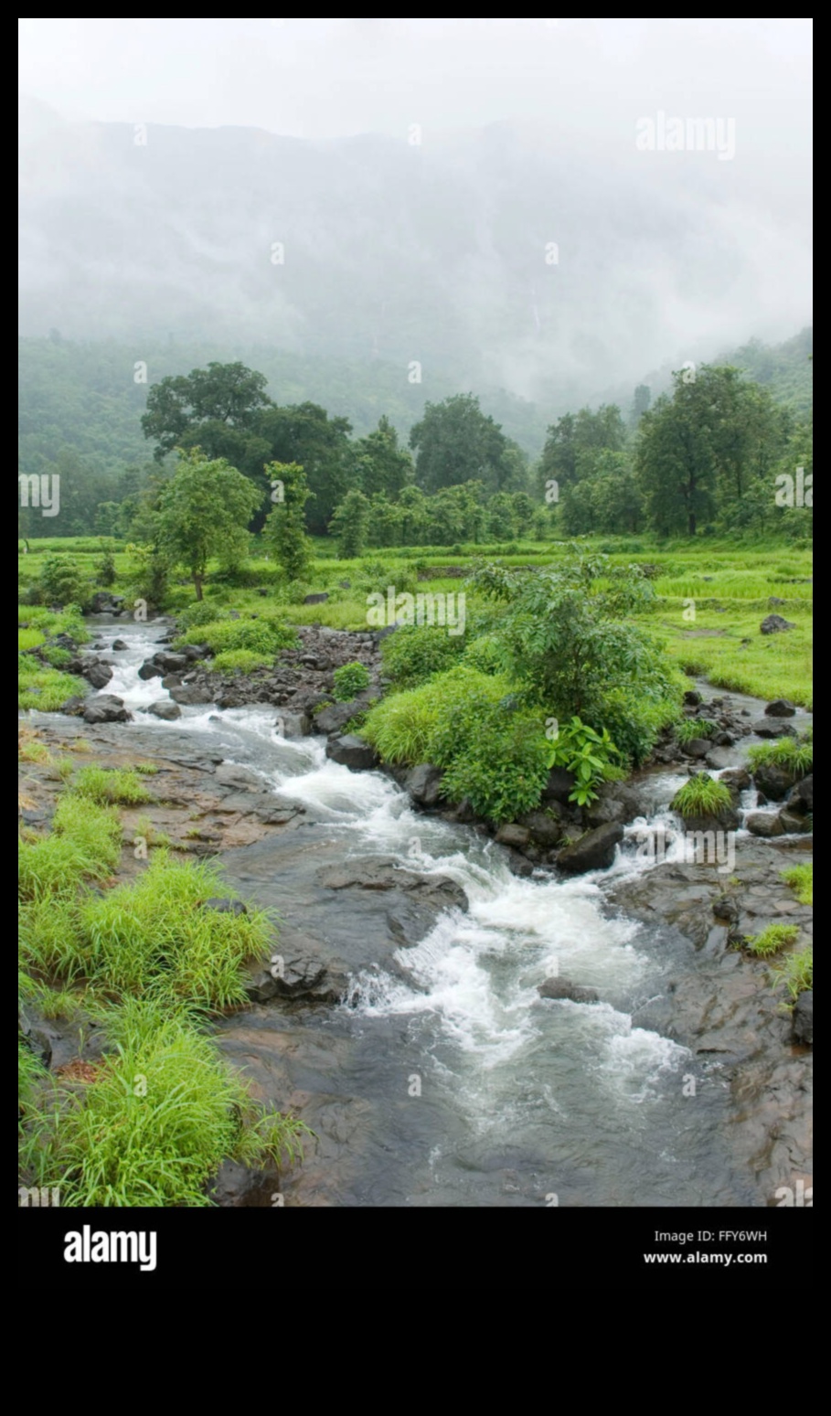 Rhythms of Rivulets II: Pârâuri și pârâuri care curg prin diverse peisaje